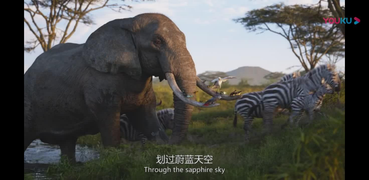 獅子王，木法沙傳奇——百度網(wǎng)盤中的經(jīng)典傳奇故事，獅子王與木法沙傳奇，百度網(wǎng)盤里的經(jīng)典故事
