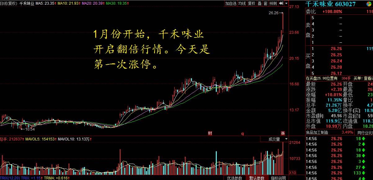 創(chuàng)歷史新高的股票，探尋市場新星，探尋創(chuàng)歷史新高的市場新星股票