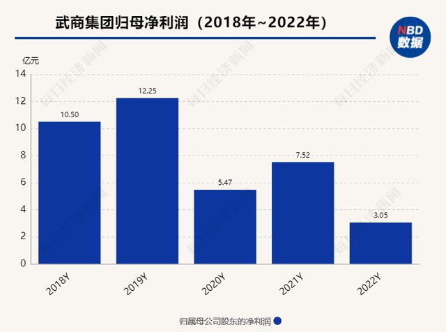 武商集團(tuán)，正確估值的深度解析，武商集團(tuán)深度解析，探尋合理估值之道