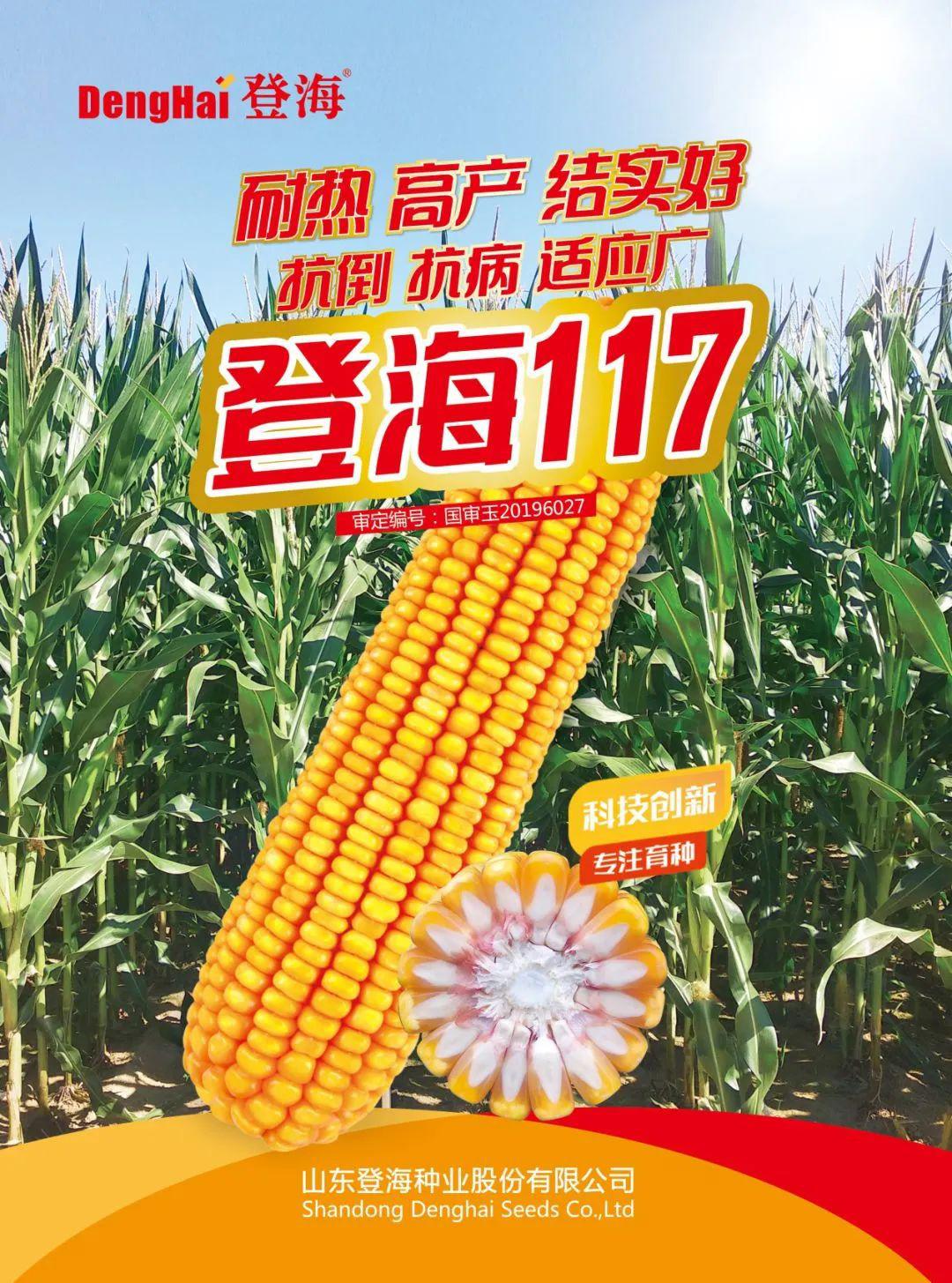 登海種業(yè)最新消息深度解析，登海種業(yè)最新消息全面解析