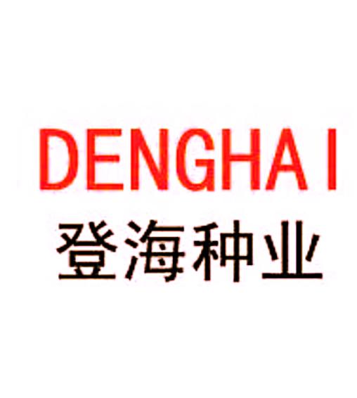 登海種業(yè)，探索農業(yè)科技的先鋒力量，登海種業(yè)，引領農業(yè)科技探索之旅