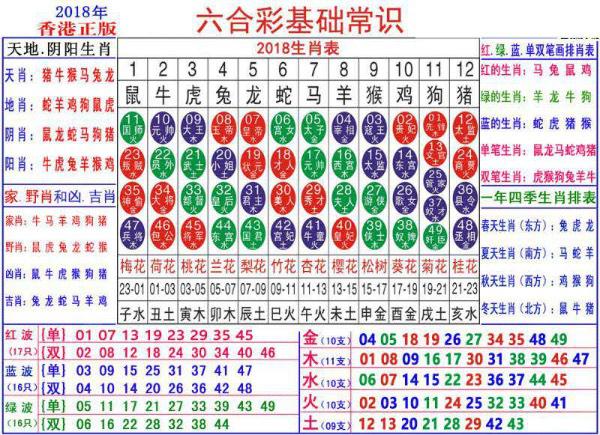 澳門正版資料大全資料生肖卡，探索生肖文化的魅力與實(shí)用指南，澳門正版資料大全，生肖文化魅力與實(shí)用指南探索