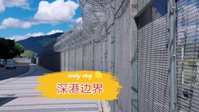 澳門鐵盤算盤網(wǎng)——探索數(shù)字時(shí)代的智慧之選，澳門鐵盤算盤網(wǎng)，數(shù)字時(shí)代的智慧投資探索