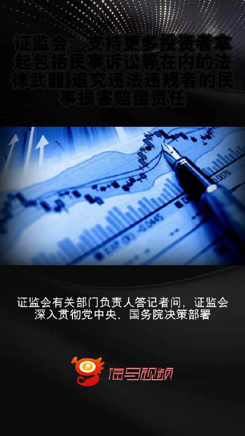 證監(jiān)會支持投資者追討損失，保障權(quán)益，重塑市場信心，證監(jiān)會積極行動，保障投資者權(quán)益，重塑市場信心，支持投資者追討損失