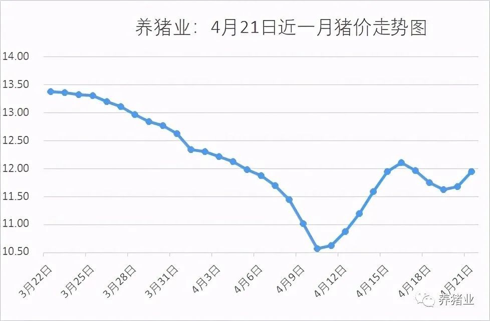 生豬價(jià)格下跌原因新解析，生豬價(jià)格下跌原因深度解析