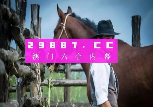 晚上澳門一肖一碼必中一肖，探索命運之輪的神秘面紗，探索命運之輪，澳門一肖一碼必中揭秘