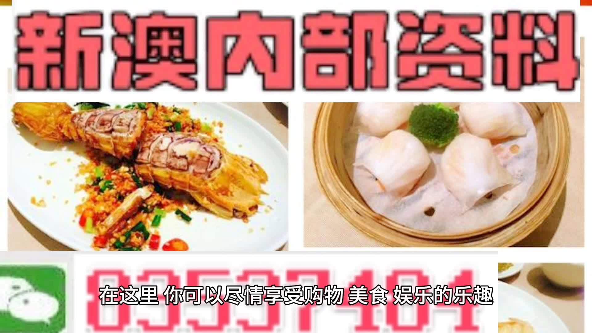 新澳資料大全正版資料2024年免費，全面解析與前瞻，新澳資料大全正版資料2024年免費全面解析與前瞻展望