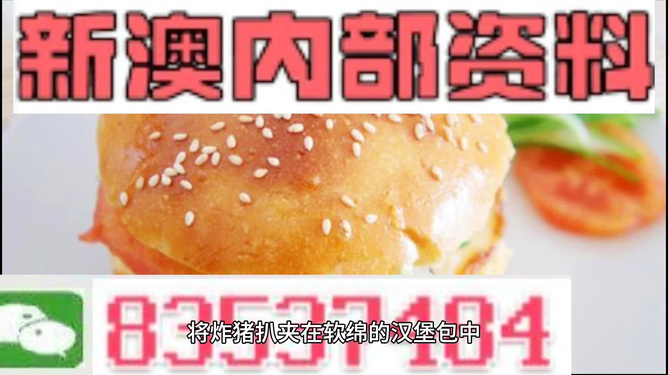 新澳2024大全正版免費(fèi)資料，探索與解析，新澳2024正版資料探索與解析大全