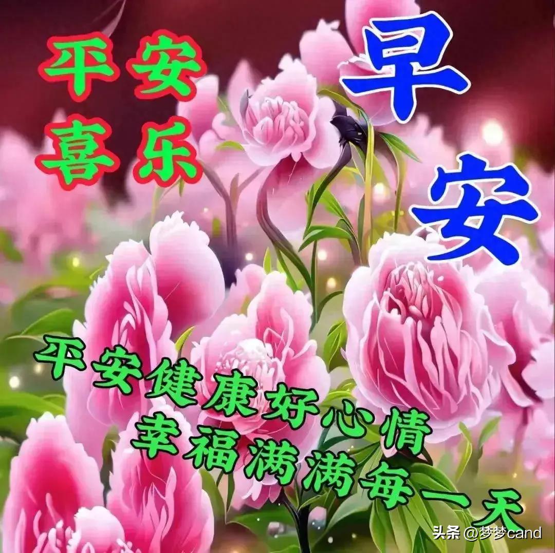 2024天天彩正版資料大全——探索彩票世界的寶藏之門，彩票秘籍揭秘，探索寶藏之門——天天彩正版資料大全 2024版