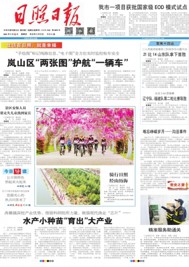 一肖一碼免費公開，揭秘背后的真相與實質(zhì)，揭秘一肖一碼背后的真相與實質(zhì) 免費公開揭秘真相
