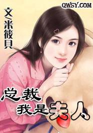 夫人至上，最新章節(jié)的深度解讀，夫人至上，最新章節(jié)深度解讀與賞析
