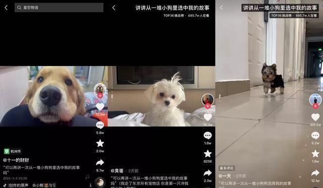 陌陌下載2023，探索社交的新紀(jì)元，陌陌下載2023，開(kāi)啟社交新紀(jì)元探索之旅