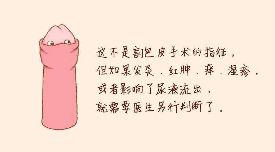 疾風之影 第14頁