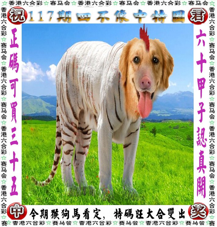 探索神秘，四不像一肖圖王中王的獨(dú)特魅力，四不像一肖圖王中王，神秘魅力的獨(dú)特探索