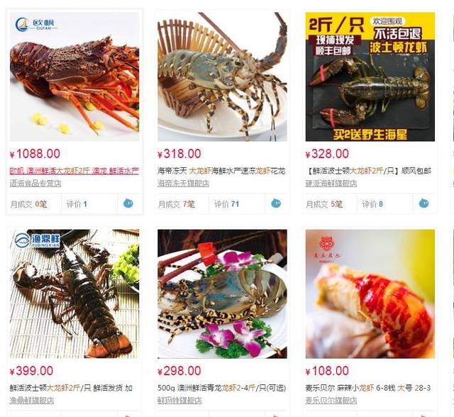 王中王368期指一生肖，探尋背后的文化奧秘，探尋生肖文化奧秘，王中王368期揭秘生肖之謎