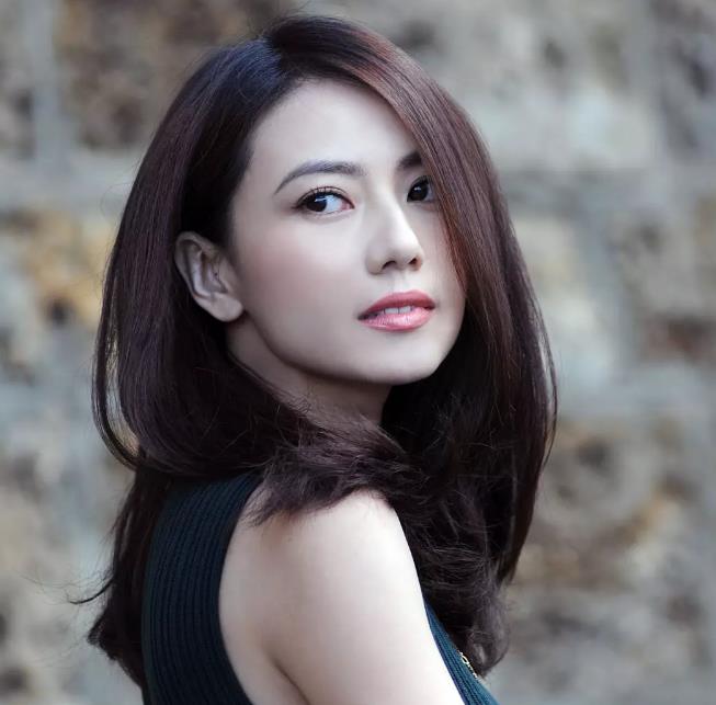 高圓圓個人資料及簡歷，揭秘女神背后的故事，以及與老公的甜蜜生活，揭秘女神高圓圓背后的故事，個人資料、簡歷以及與老公的甜蜜生活揭秘