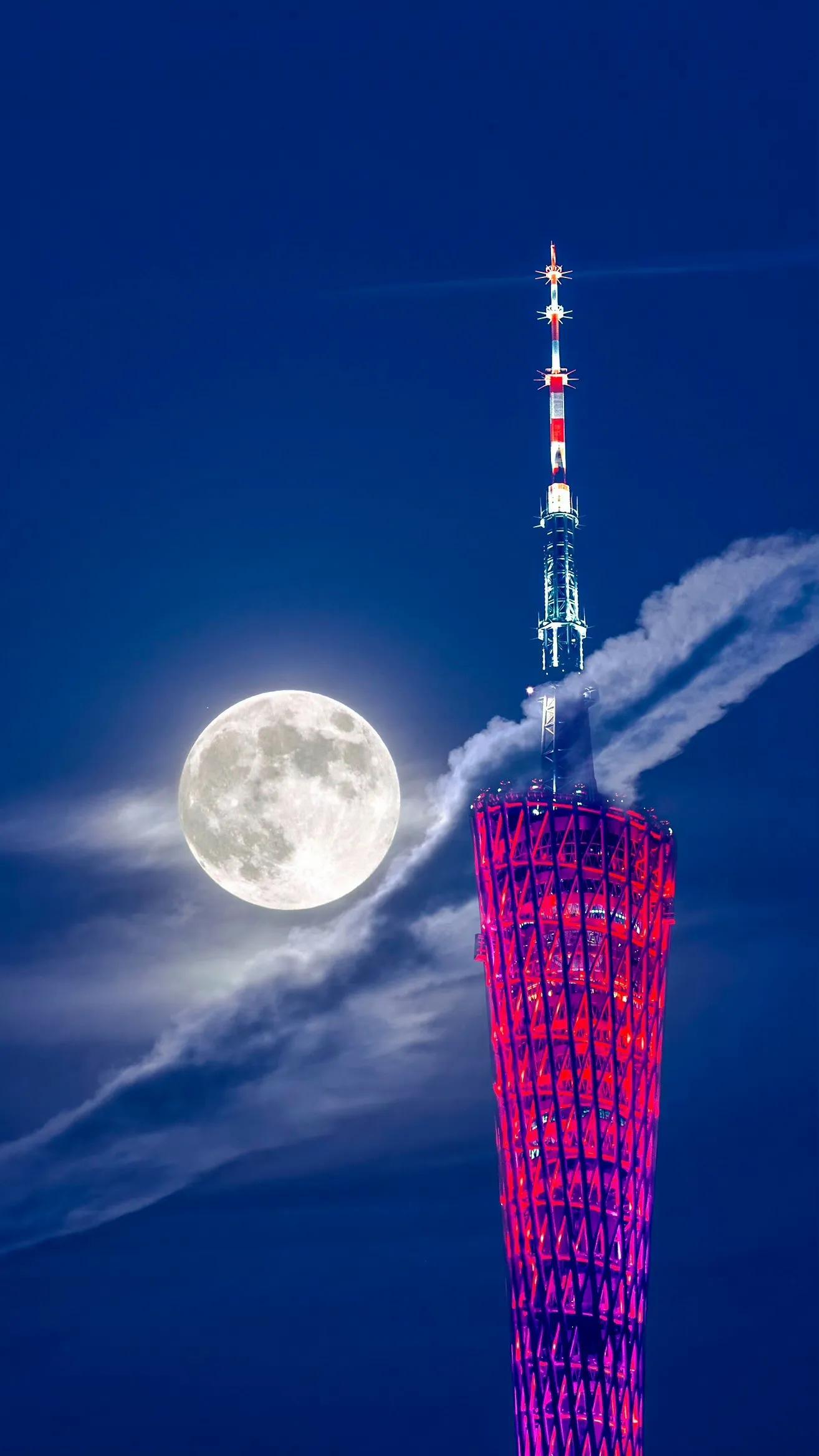 wangweixuan 第8頁(yè)