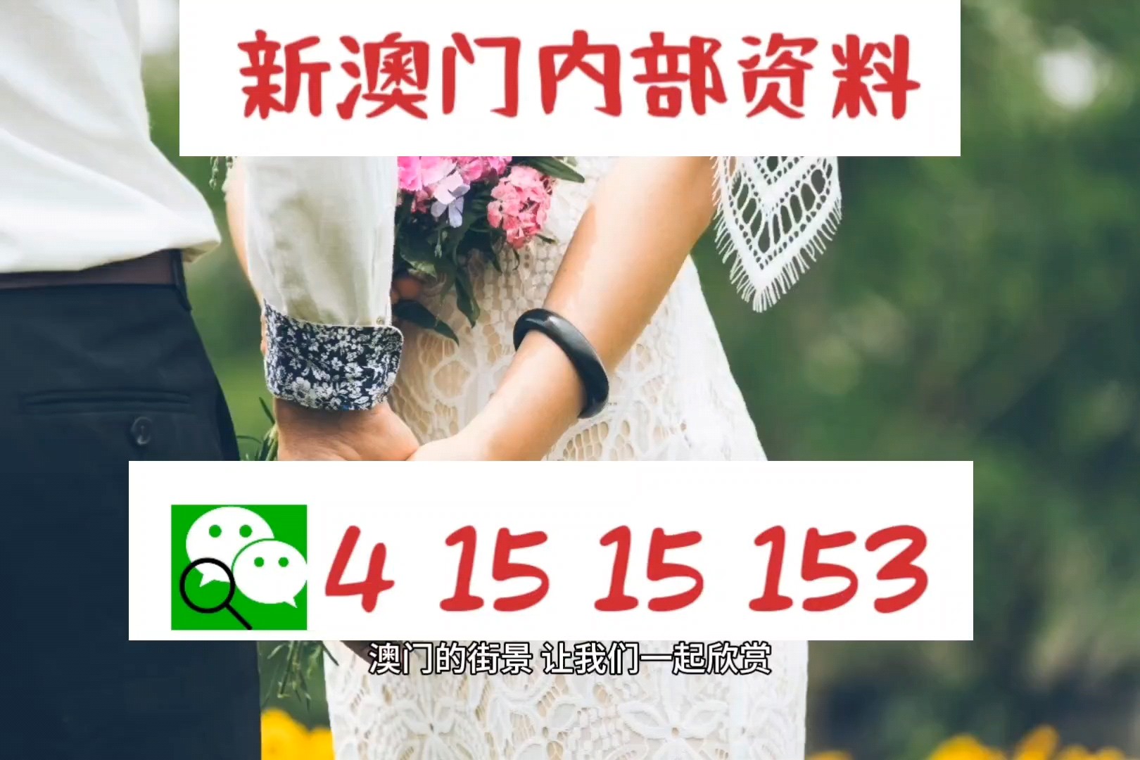 老澳門(mén)圖庫(kù)資料庫(kù)下載，歷史與文化的珍貴寶藏，老澳門(mén)圖庫(kù)資料庫(kù)，歷史文化的珍貴寶藏免費(fèi)下載