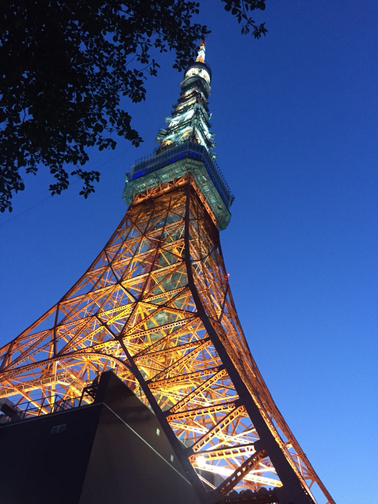 東京旅游景點，探索日本的魅力之都，東京魅力之旅，探索日本魅力之都的必游景點