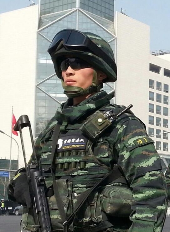武警雪豹突擊隊，英勇無畏，守護安寧的先鋒力量，武警雪豹突擊隊，先鋒力量的英勇守護，安寧的守護者