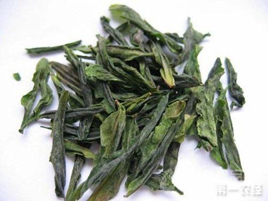 六安瓜片，獨特的功效與魅力，六安瓜片，獨特功效與魅力所在