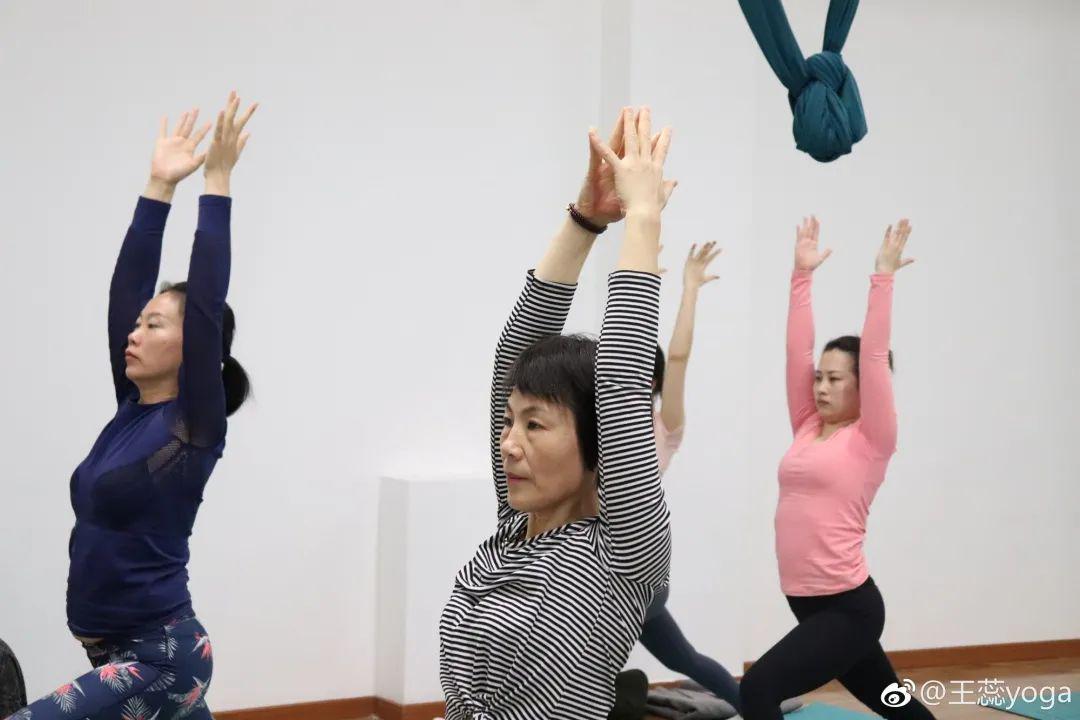 王蕊中老年瑜伽教學(xué)視頻，探索中老年健康生活的新路徑，王蕊中老年瑜伽教學(xué)，探索健康生活的全新路徑