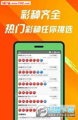 探索數(shù)字背后的故事，王中王一肖與數(shù)字493333的神秘聯(lián)系，王中王一肖與數(shù)字493333的神秘故事探索