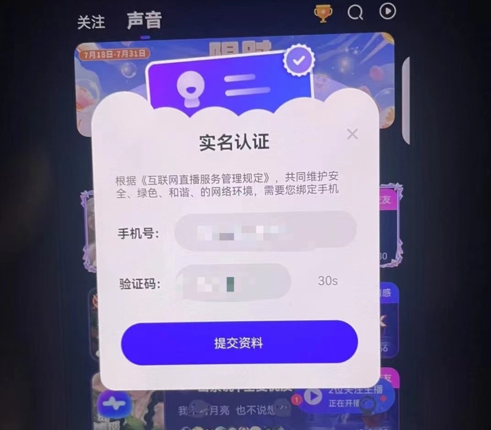 zhangxiaoling 第12頁
