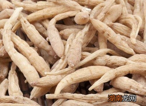 太子參的功效與作用，揭示其獨(dú)特的藥用價(jià)值，太子參的藥用價(jià)值及其獨(dú)特功效揭秘