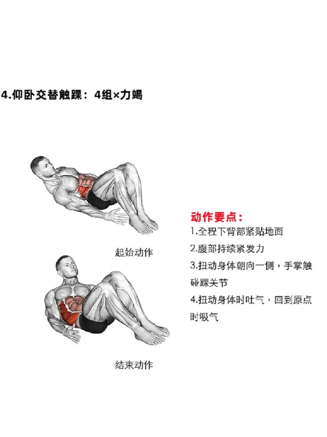 塑造完美身材，高效的腹肌訓(xùn)練方法，高效腹肌訓(xùn)練，塑造完美身材秘籍
