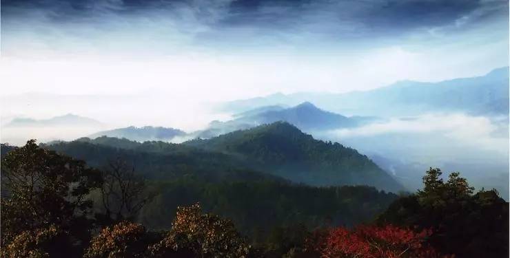廈門天竺山國(guó)家森林公園，自然與文化的和諧交融，廈門天竺山國(guó)家森林公園，自然與文化和諧共融之地