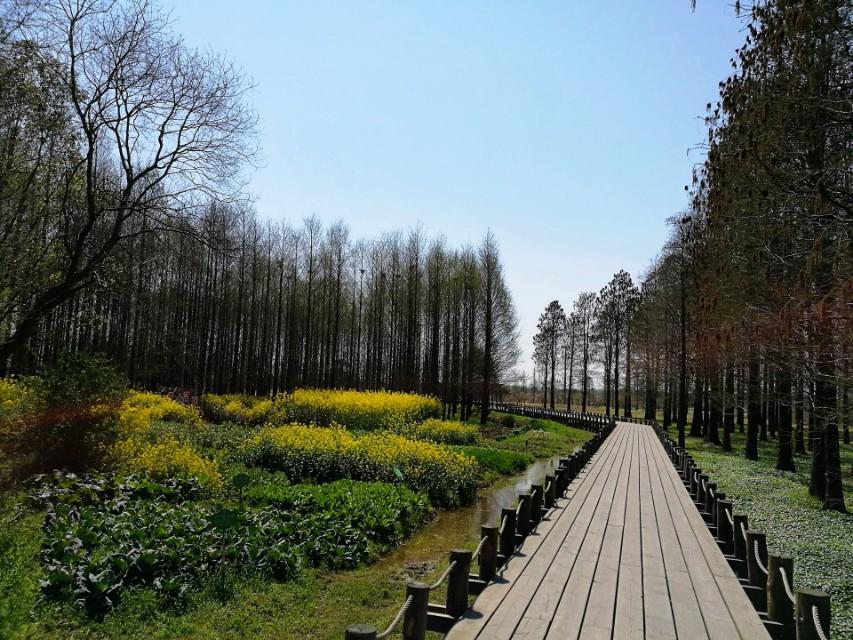 附近離我最近的公園，探索自然與健康的最佳場所，探索自然與健康的最佳場所，附近最近的公園之旅