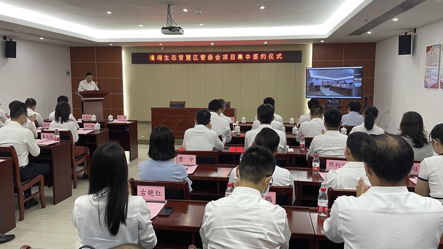 科力爾公司最新消息綜述，科力爾公司最新消息綜述，發(fā)展動態(tài)與業(yè)務(wù)進(jìn)展一覽