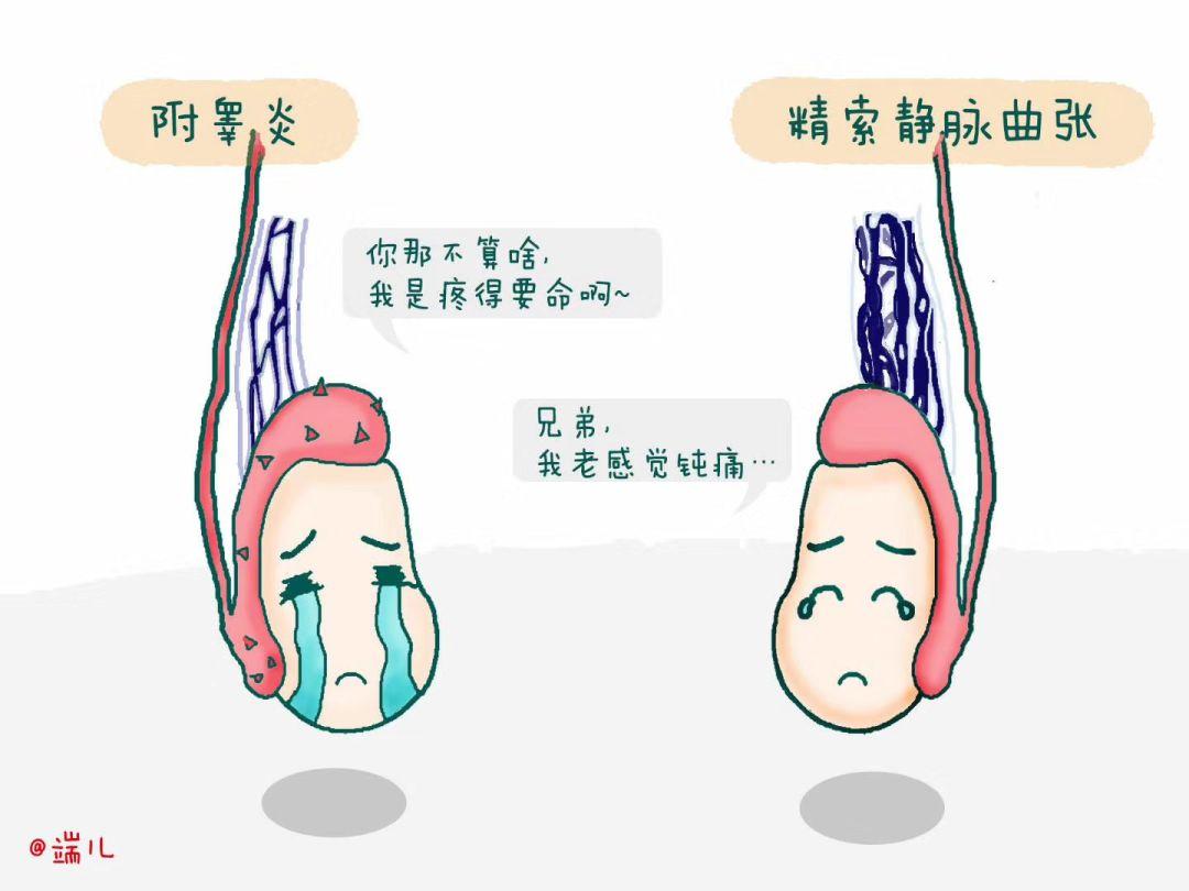 精囊炎的成因解析，精囊炎成因解析與防治策略