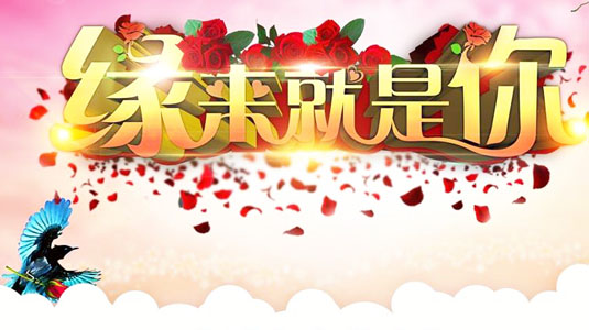 重慶靠譜婚介所排名，探尋優(yōu)質(zhì)婚戀服務(wù)的前沿，重慶靠譜婚介所排名揭秘，優(yōu)質(zhì)婚戀服務(wù)前沿探索