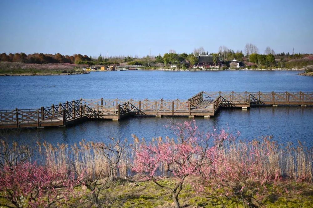 海灣森林公園，自然與文化的完美融合，海灣森林公園，自然與文化交融的勝地