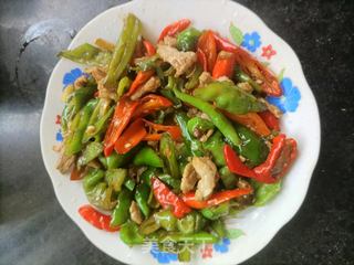 辣椒炒肉的做法，一道美味佳肴的烹飪詳解，辣椒炒肉，美味佳肴的烹飪詳解
