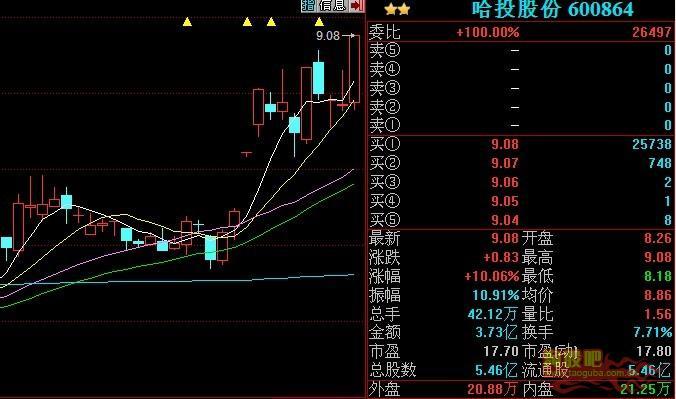 關(guān)于以834開(kāi)頭的股票的全面解讀，關(guān)于股票代碼834的全面解讀與分析