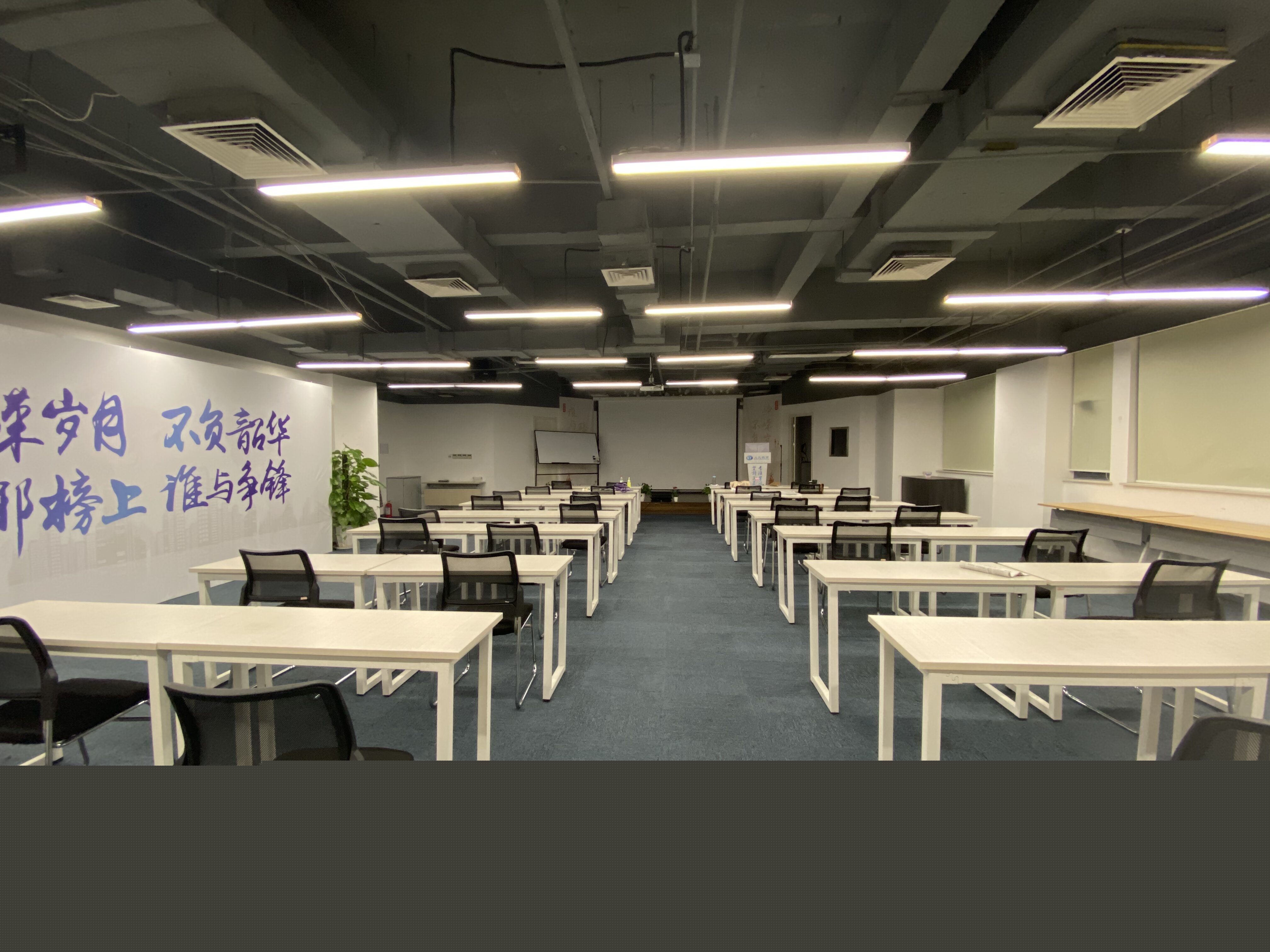 上海培訓(xùn)機(jī)構(gòu)，多元化發(fā)展的教育先鋒，上海多元化教育機(jī)構(gòu)，教育先鋒的崛起之路