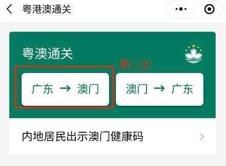 澳門碼資料版本大全與違法犯罪問題探討，澳門碼資料版本大全與犯罪問題探討