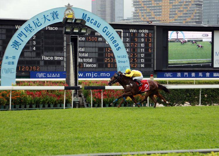 澳門賽馬會，歷史、文化與運(yùn)動的完美結(jié)合，澳門賽馬會，歷史、文化與運(yùn)動的絢麗交融