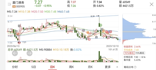 廈門港務股票為何不漲，深度解析與前景展望，廈門港務股票滯漲原因深度解析與未來前景展望