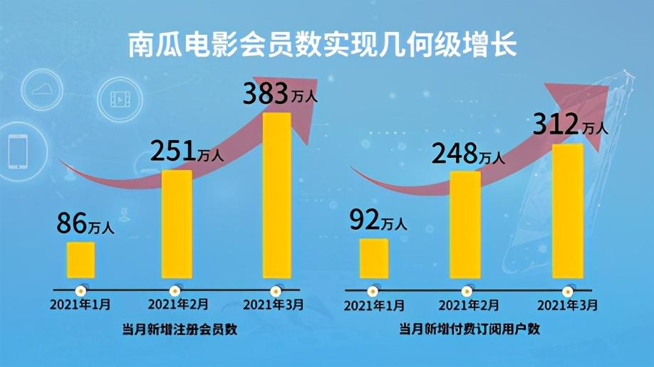 南瓜影視，引領影視娛樂新風尚，南瓜影視，影視娛樂新風尚的引領者