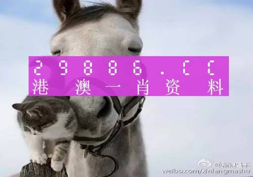 新澳門一肖一碼中恃馬，探索與解讀，澳門一肖一碼中恃馬，解讀與探索指南