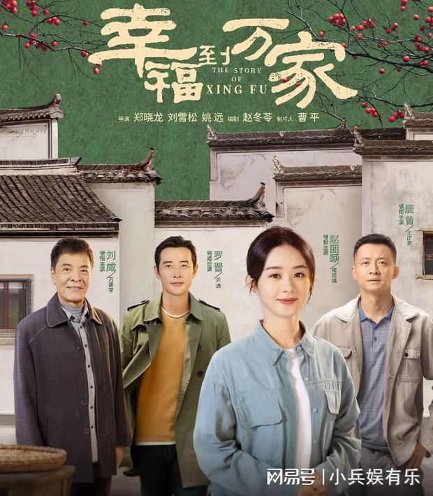 農(nóng)村電視劇大全集，深度解讀與賞析，農(nóng)村題材電視劇全集深度解讀與賞析