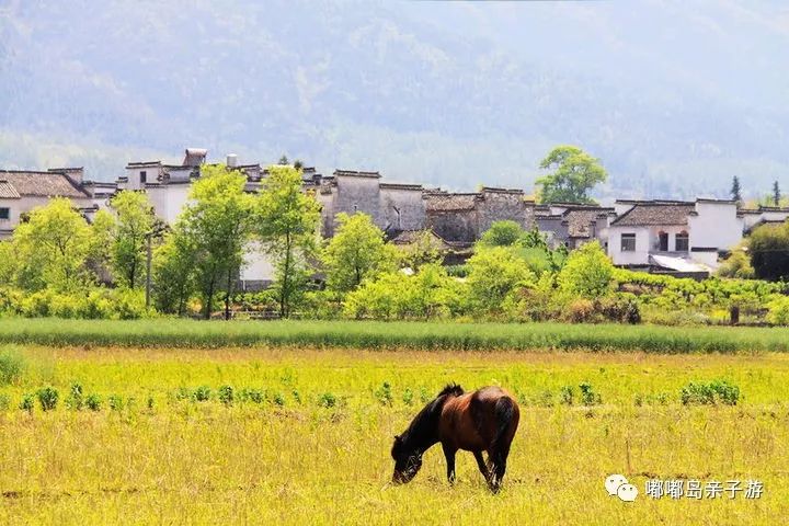 十一五日游旅游最佳去處，探尋中國最美的風(fēng)景線，中國最美風(fēng)景線探尋，十一最佳十五日游旅游去處