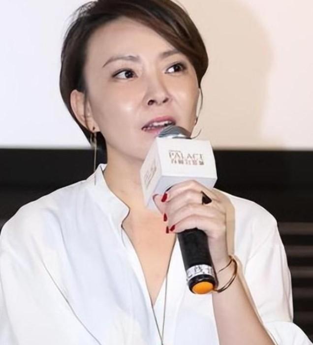 張嘉譯與劉威葳的關(guān)系，演藝界的深厚友情與卓越合作，張嘉譯與劉威葳，演藝界的深厚友情與卓越合作揭秘