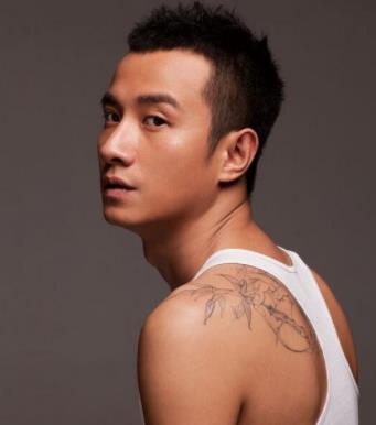 演員簡(jiǎn)介——探尋璀璨星光的背后故事，璀璨星光背后的故事，演員簡(jiǎn)介探索篇