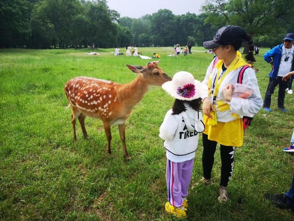 小學(xué)生必去的十個(gè)景點(diǎn)，探索世界的奇妙之旅，小學(xué)生必游十大景點(diǎn)，開啟世界探索之旅