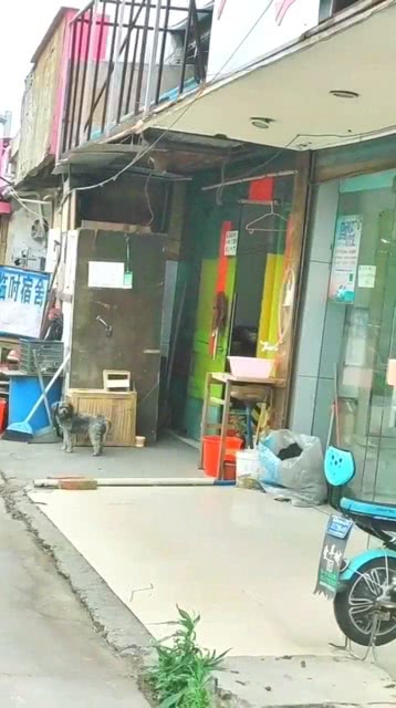 上海住宿便宜的地方，探索經(jīng)濟(jì)住宿的多種選擇，上海經(jīng)濟(jì)住宿指南，探索低價(jià)住宿的多元選擇